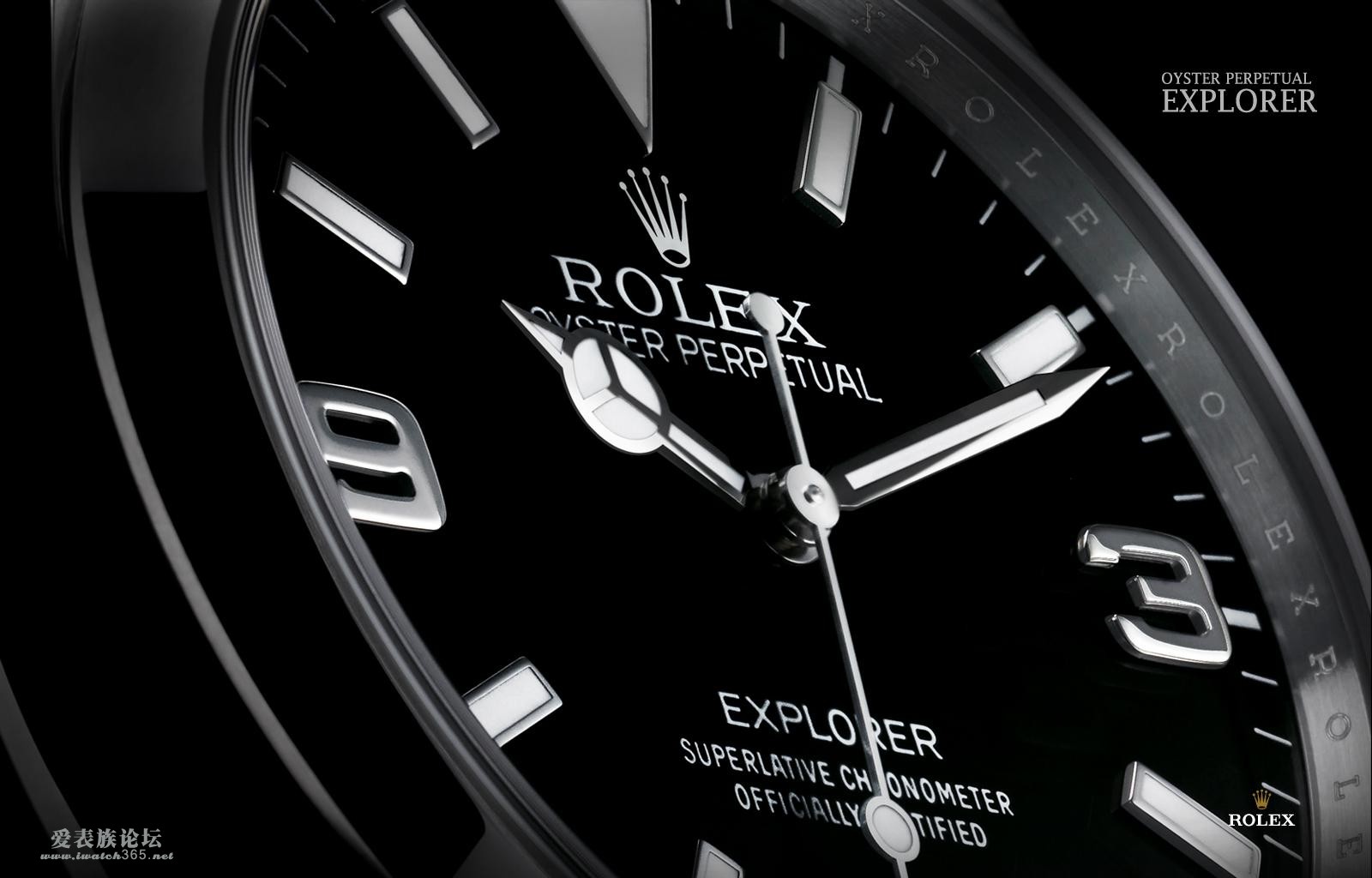 Replica Rolex Watch